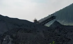 Beneficiation Plant Handling