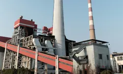 Bunker Feeding & Pulverizer Feed System